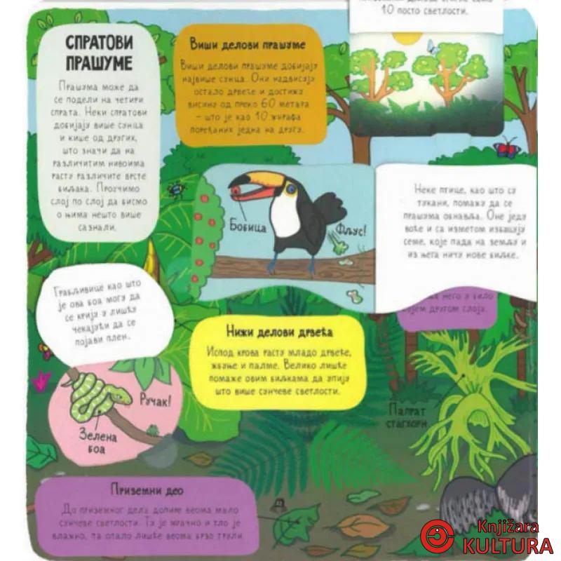 PRAŠUMA - mali istraživači 