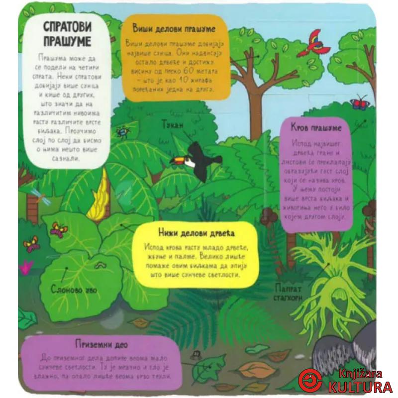 PRAŠUMA - mali istraživači 