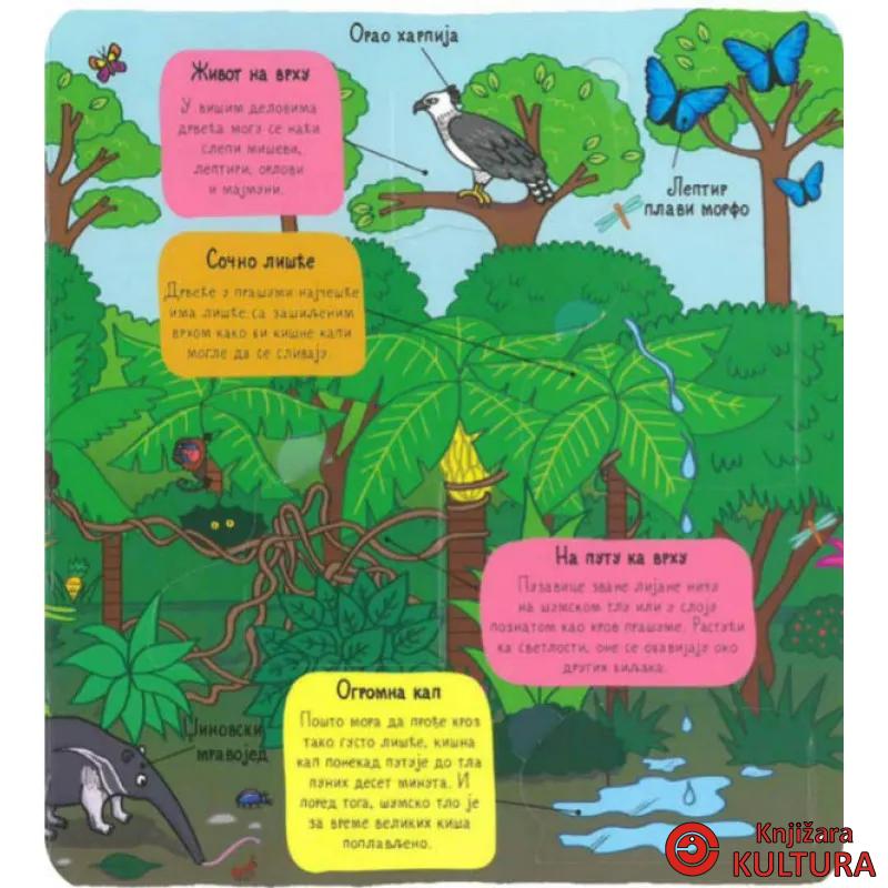 PRAŠUMA - mali istraživači 