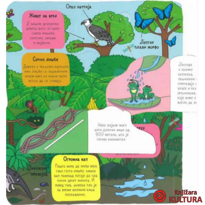 PRAŠUMA - mali istraživači 