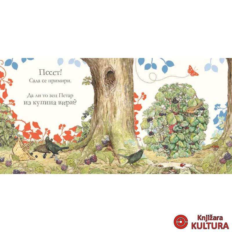 Gde je zec Petar? Slikovnica skrivalica 