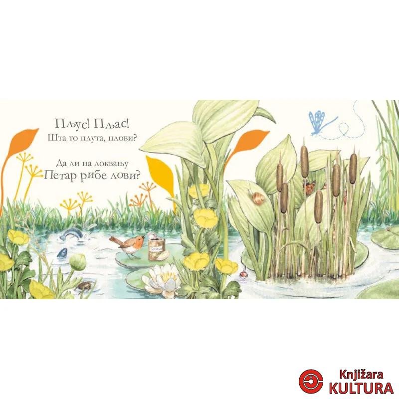 Gde je zec Petar? Slikovnica skrivalica 