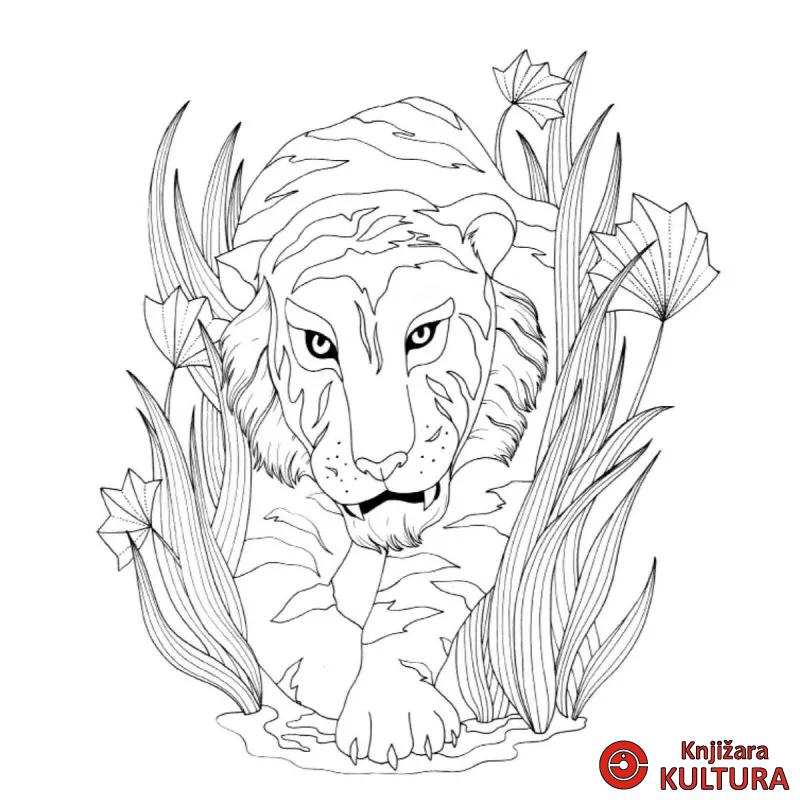 Knjiga o džungli - bojanka 