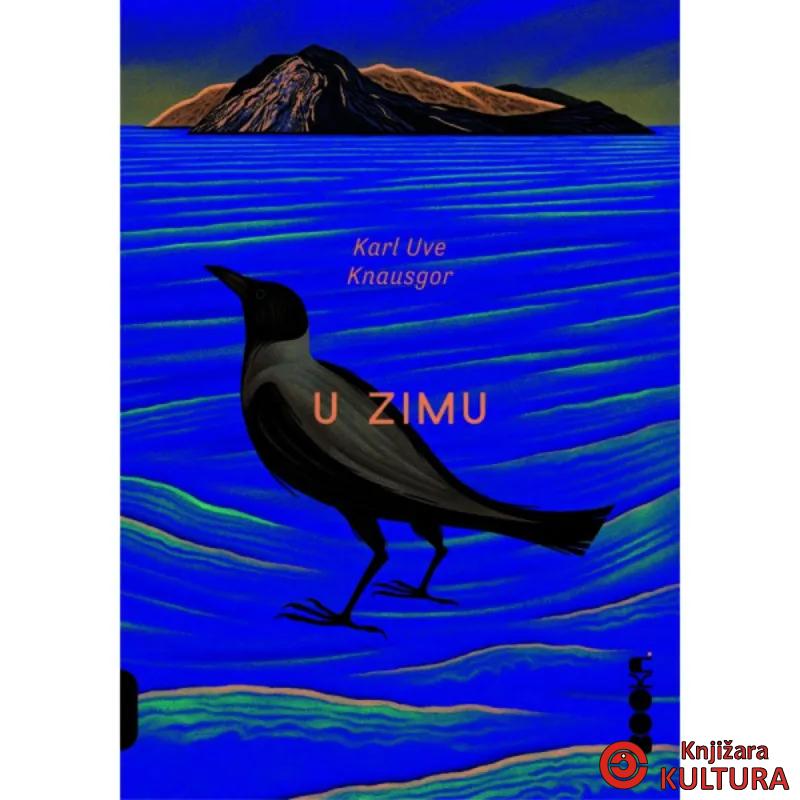 U zimu 
