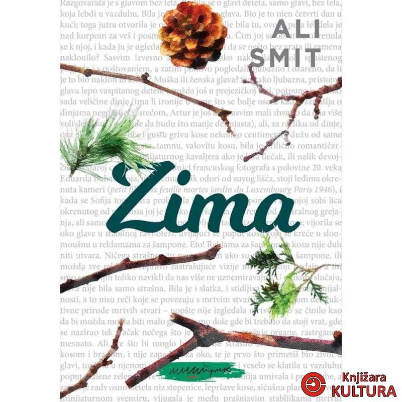 Zima 