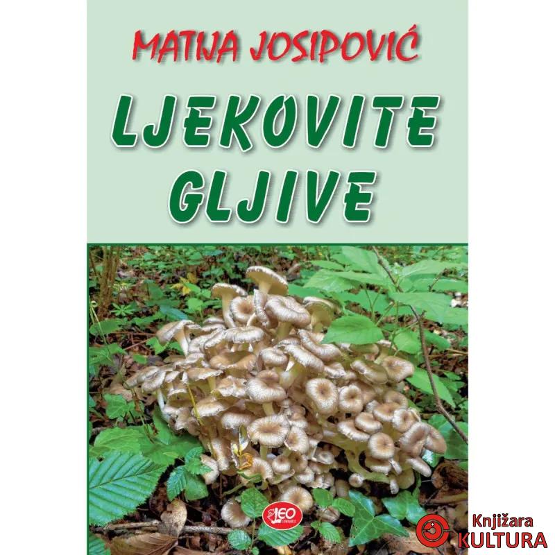 Ljekovite gljive 